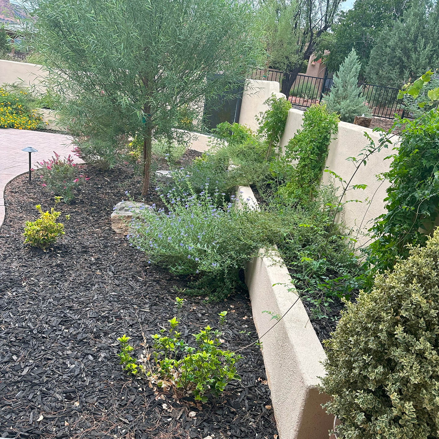 Landscape Maintenance